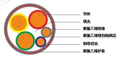 图片4
