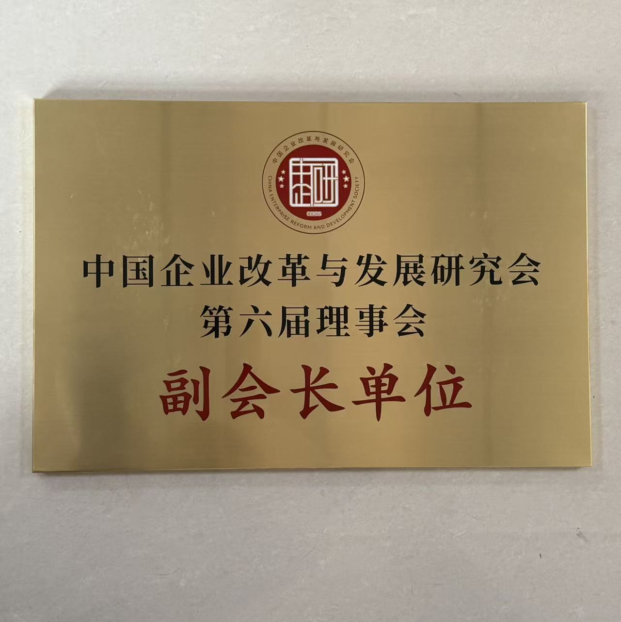 中国企业改革与发展研究会第六届理事会副会长单位